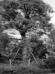 睢宁注册公司